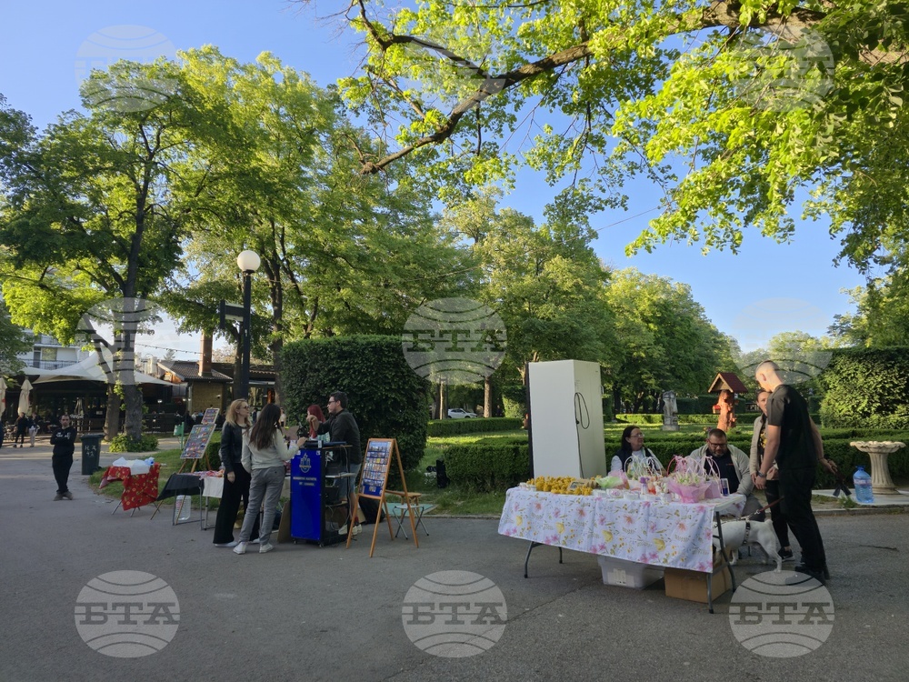 Видин - фестивал - благотворителен базар