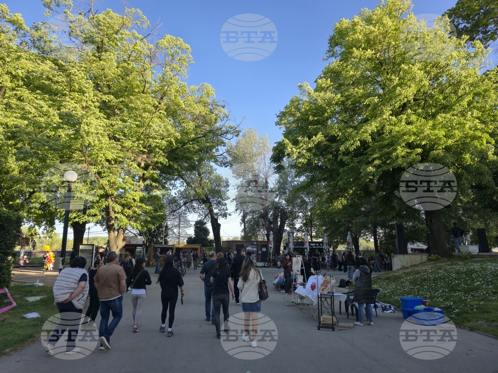 Видин - фестивал - благотворителен базар