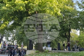 Видин - фестивал - благотворителен базар