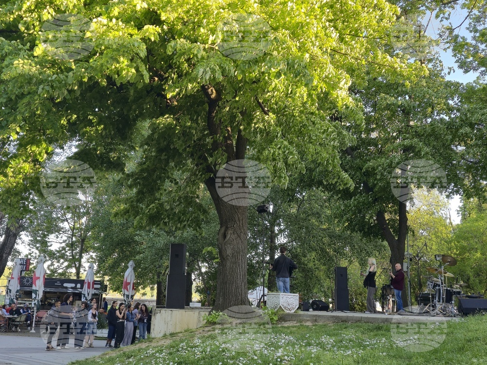 Видин - фестивал - благотворителен базар