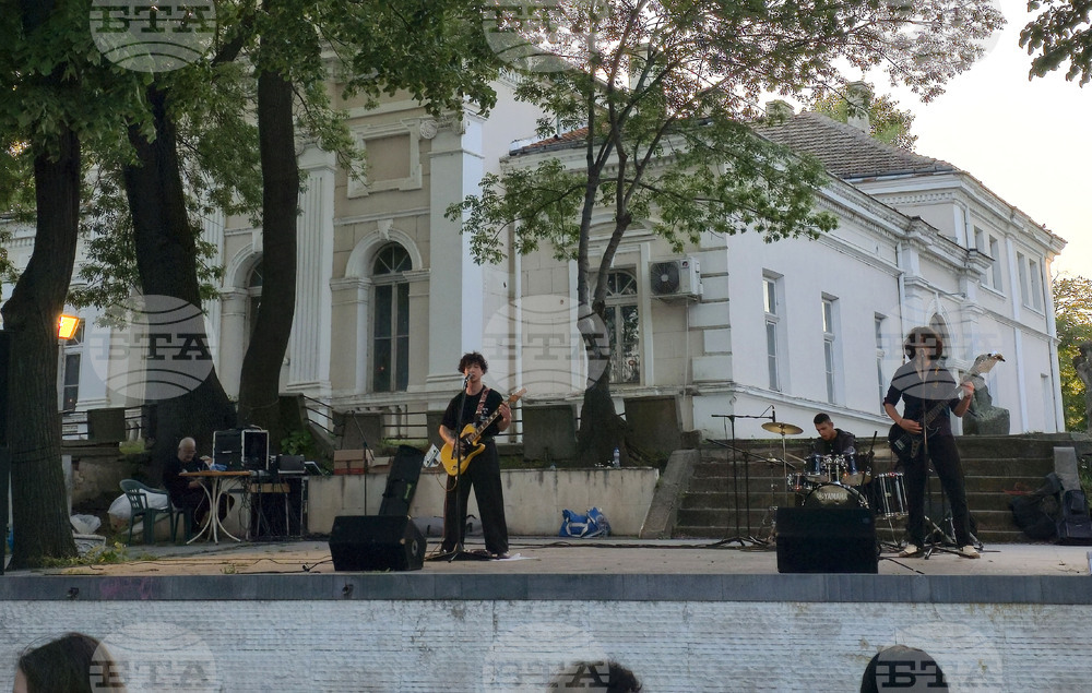 Видин - фестивал - благотворителен базар