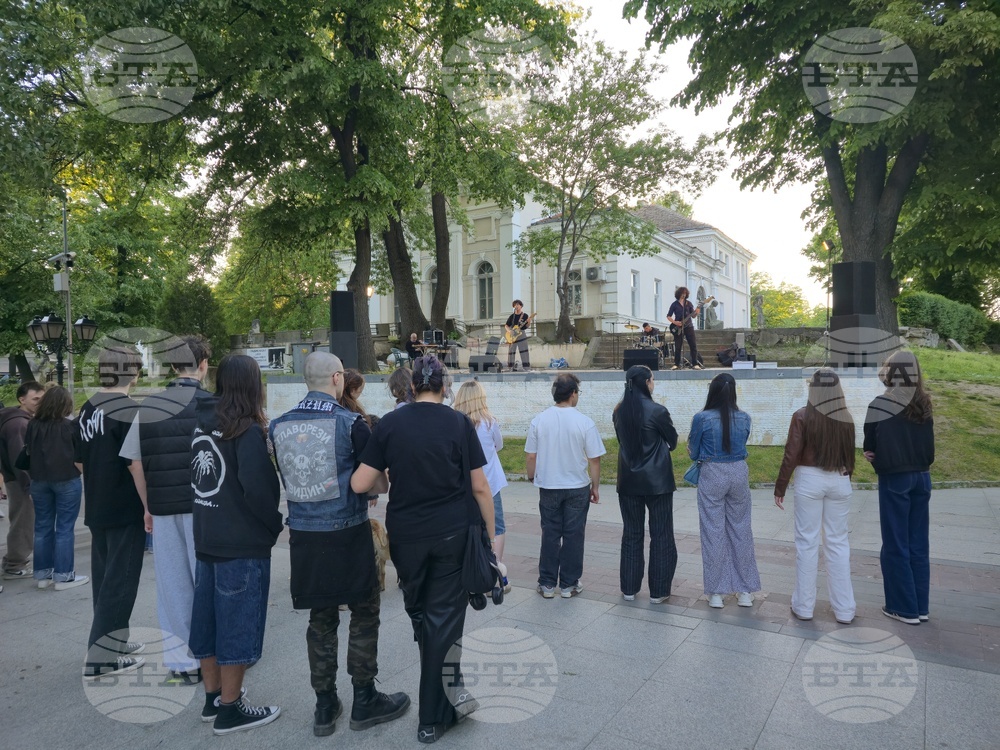 Видин - фестивал - благотворителен базар