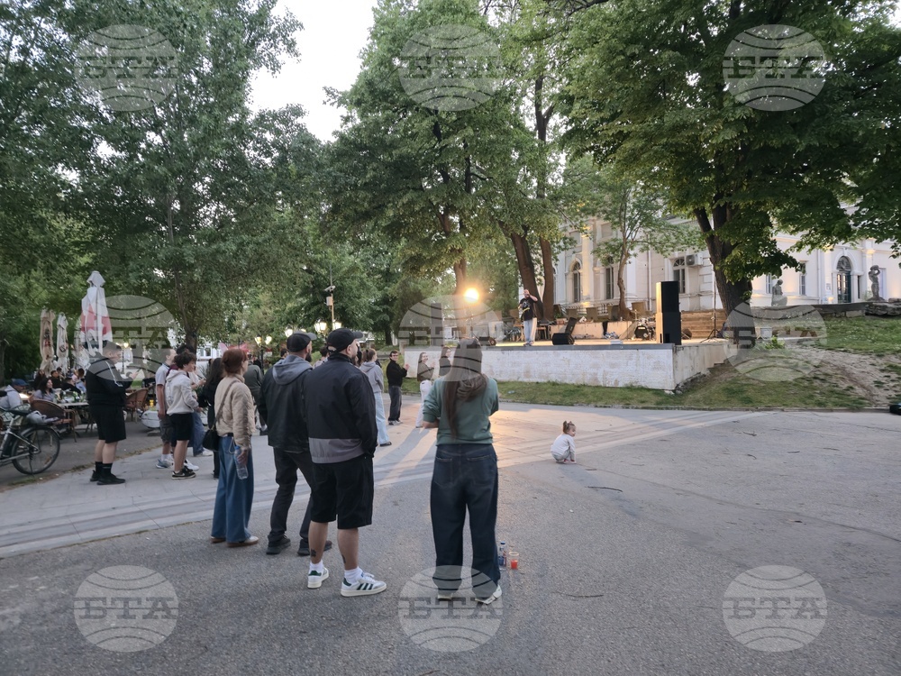 Видин - фестивал - благотворителен базар