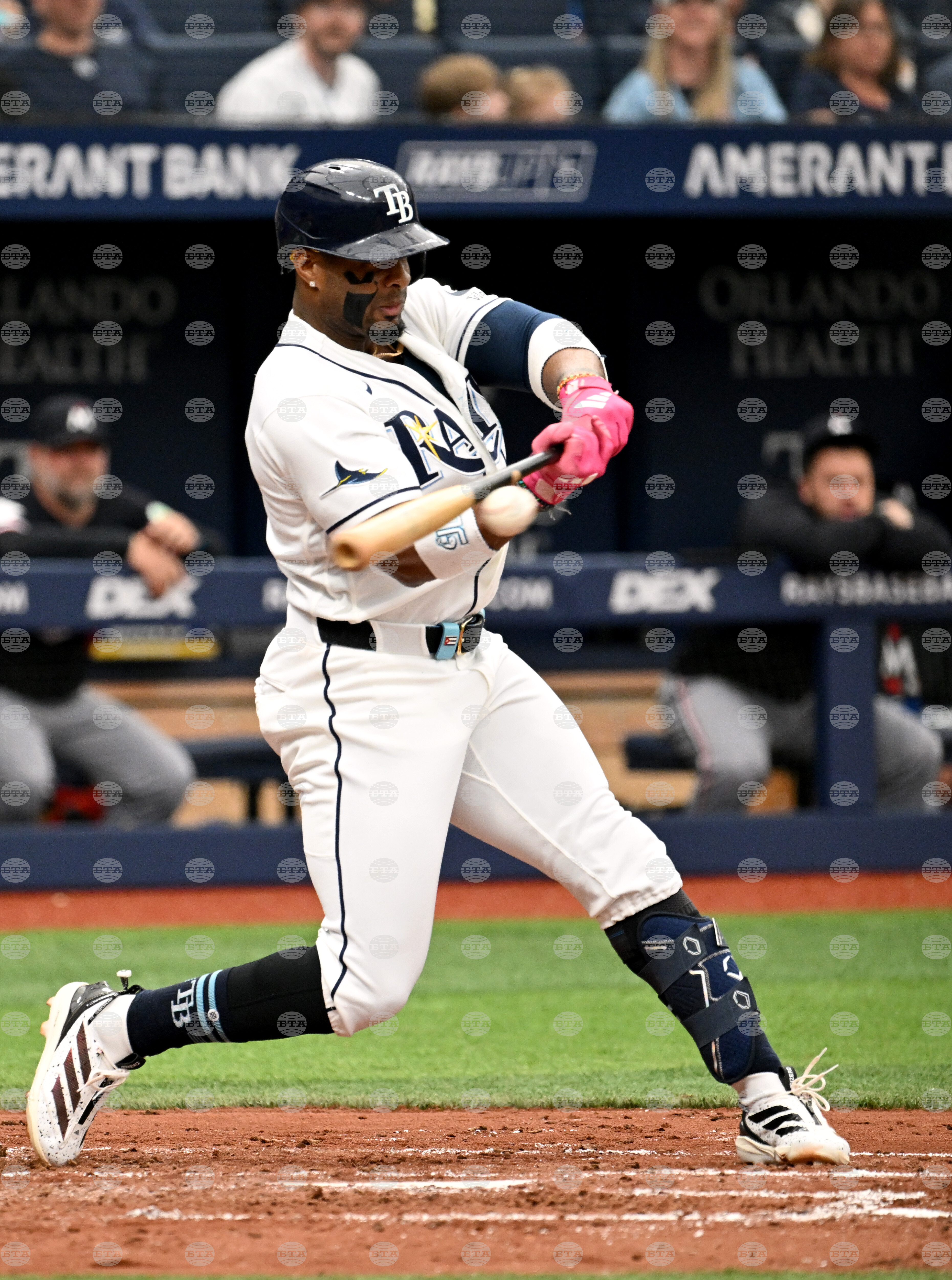 Twins Rays Baseball