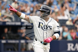 Twins Rays Baseball