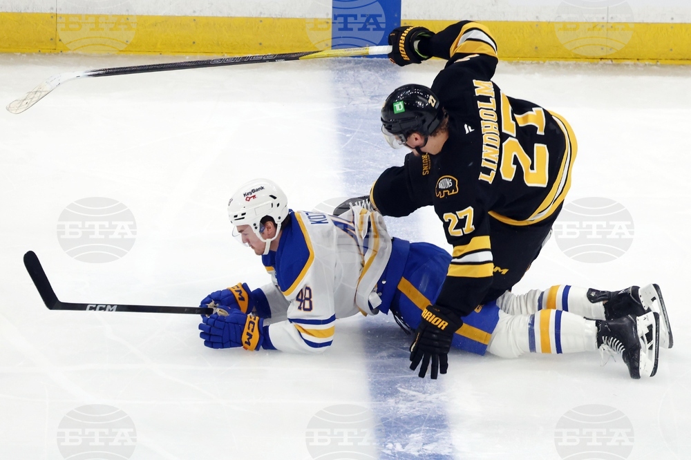 Sabres Bruins Hockey