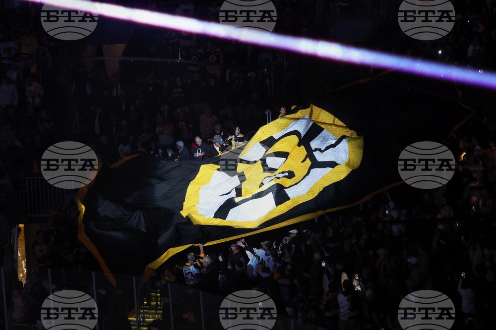 Sabres Bruins Hockey