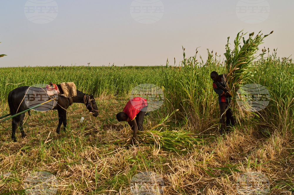 Sudan Daily Life