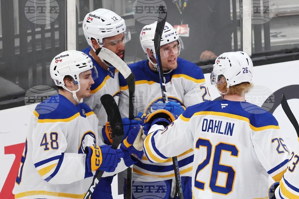 Sabres Bruins Hockey