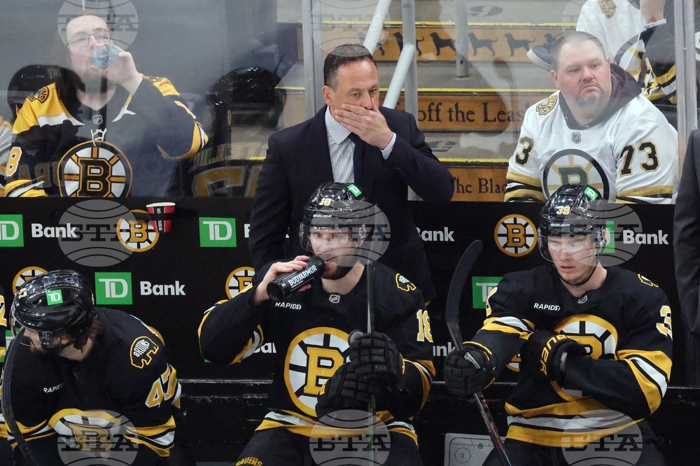 Sabres Bruins Hockey