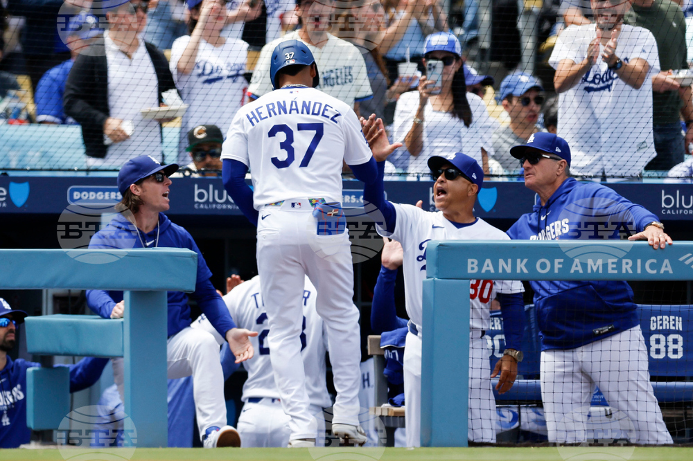 Cubs Dodgers Baseball