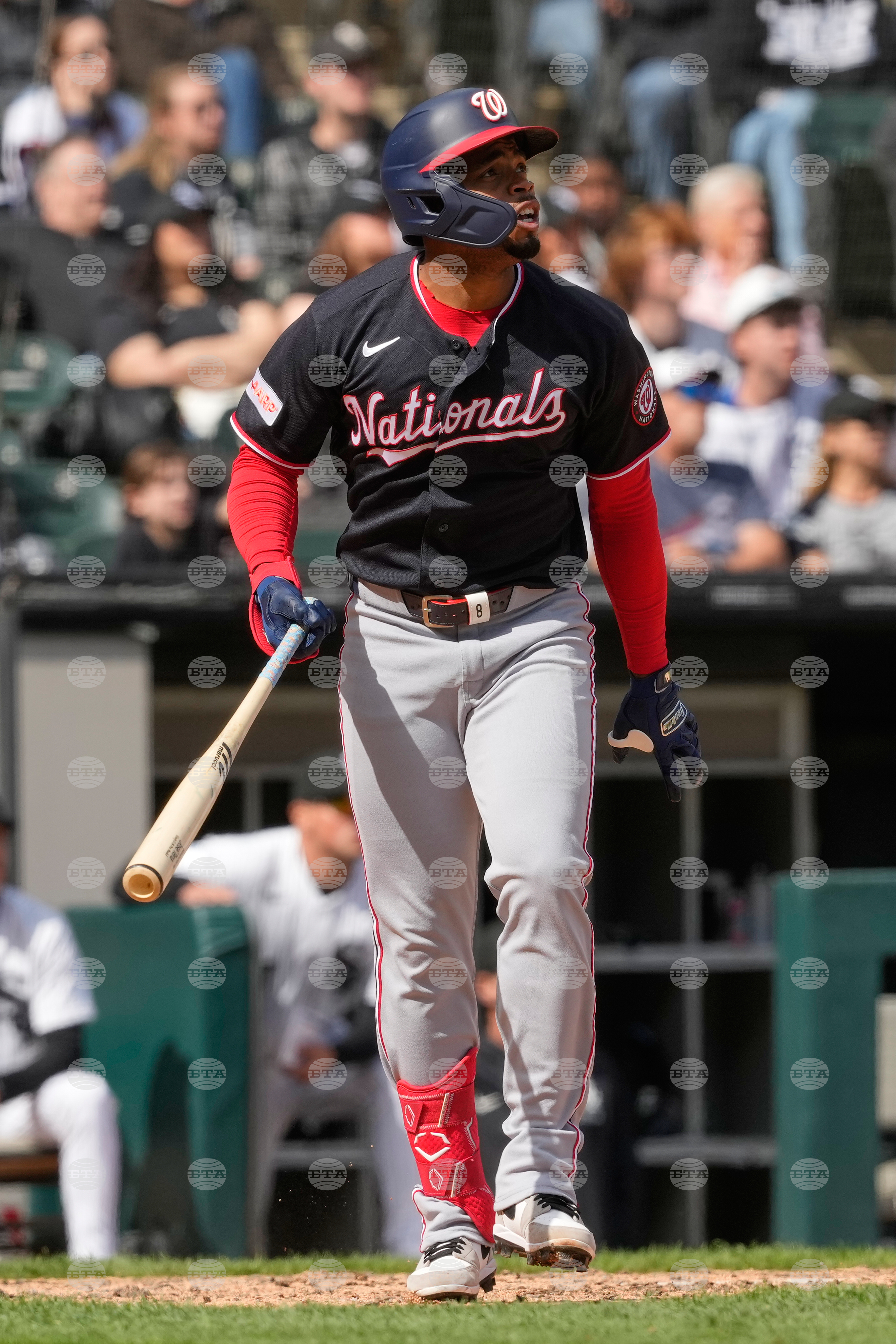 Nationals White Sox Baseball