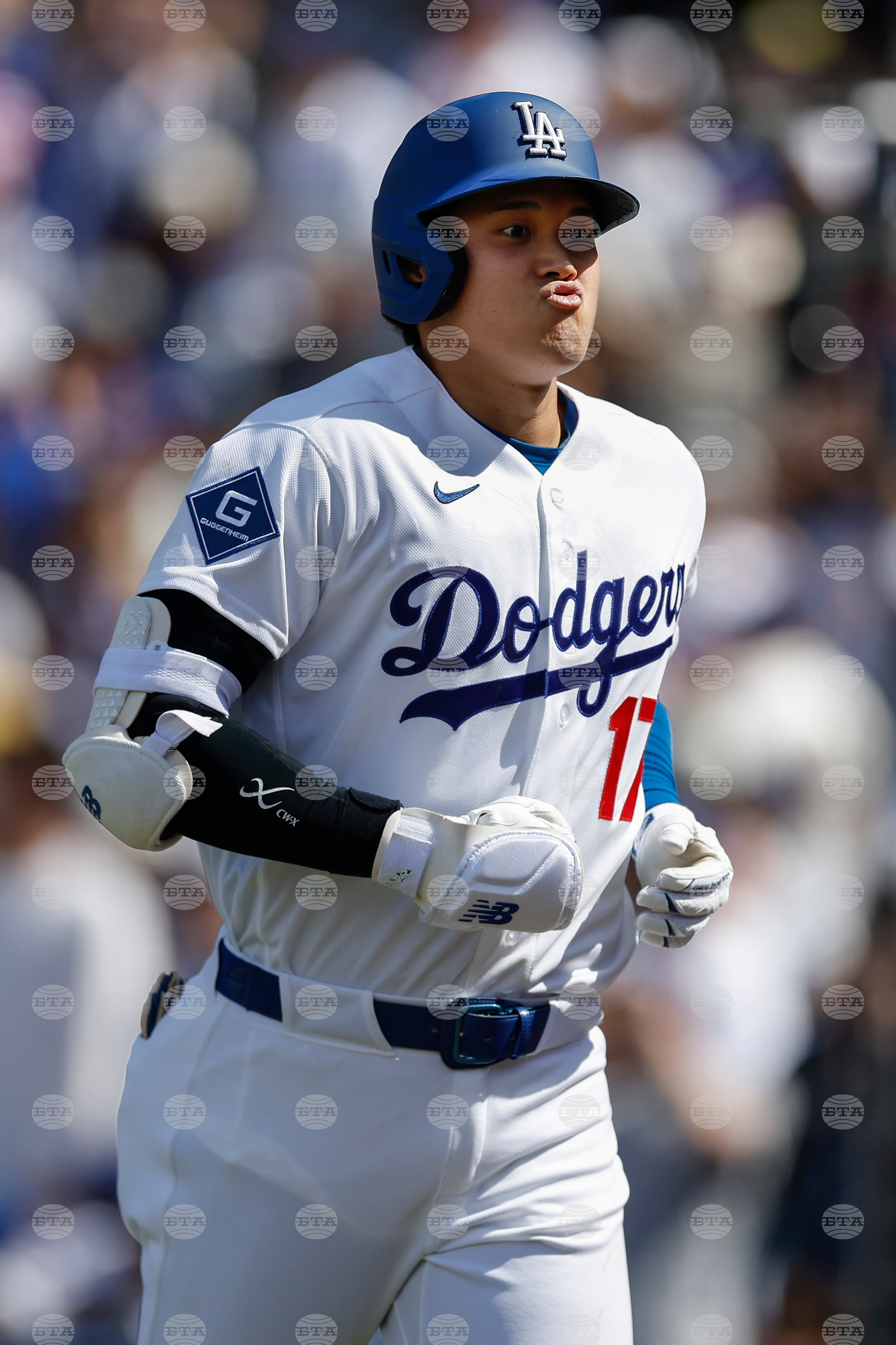 Cubs Dodgers Baseball