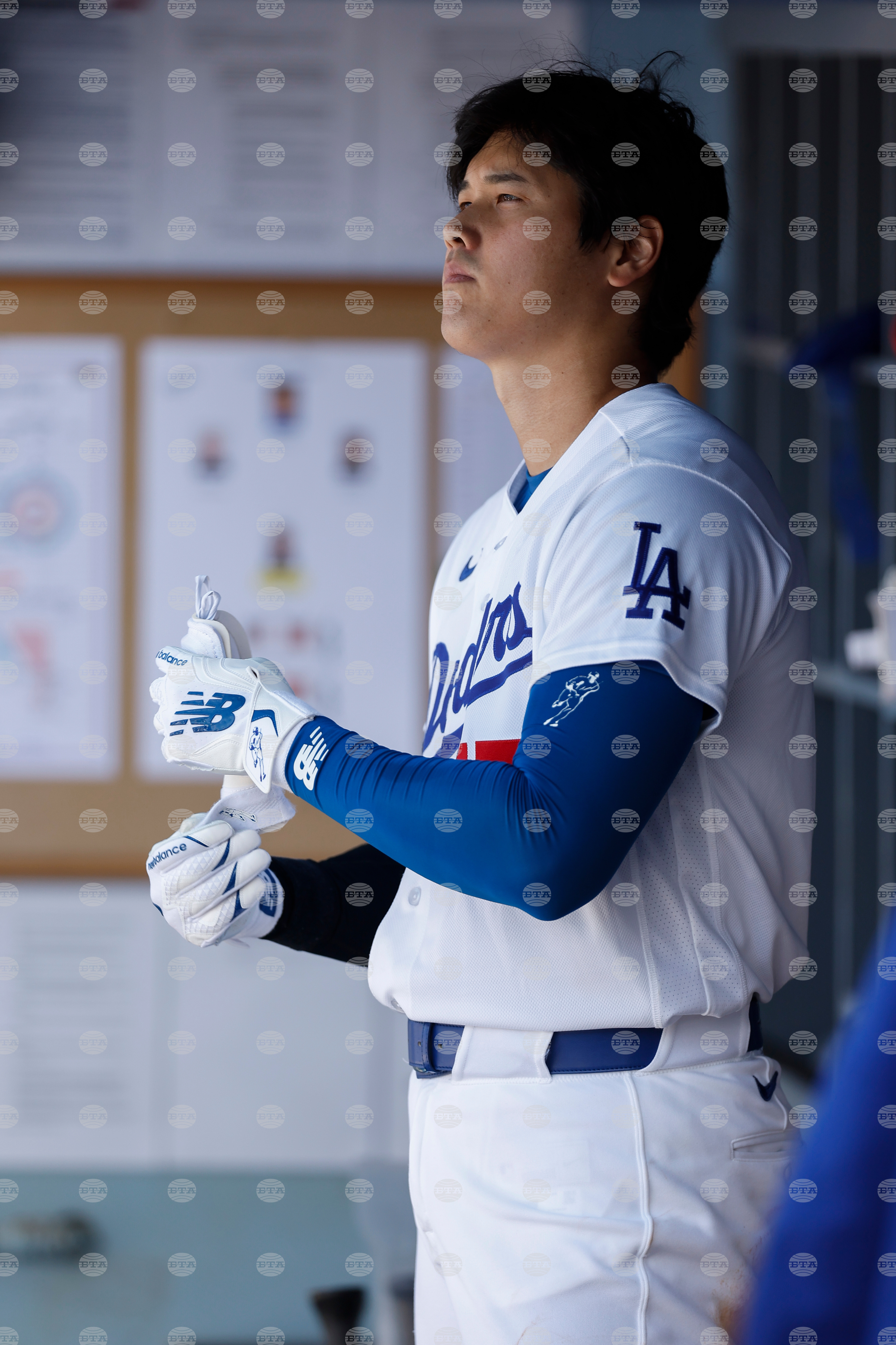 Cubs Dodgers Baseball