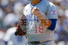 Cubs Dodgers Baseball