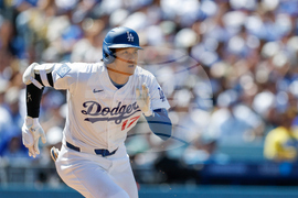 Cubs Dodgers Baseball