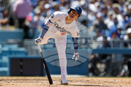 Cubs Dodgers Baseball