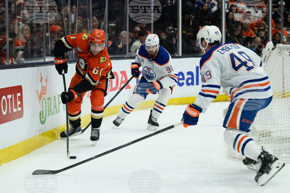 Oilers Ducks Hockey