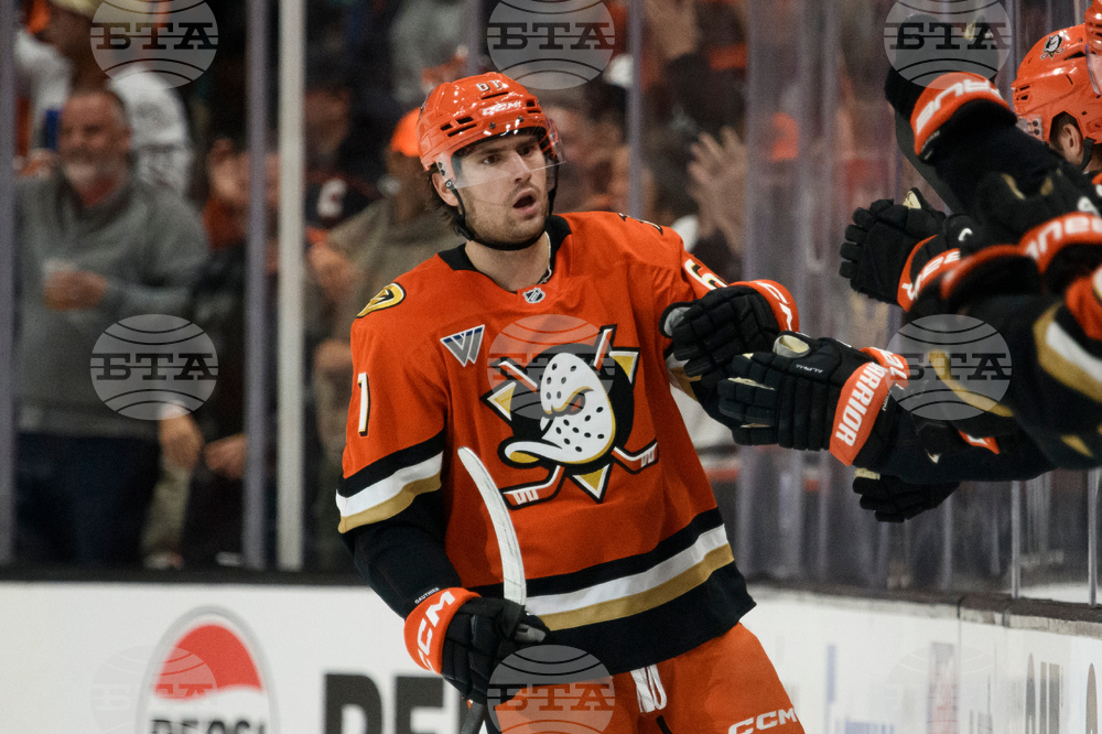 Oilers Ducks Hockey