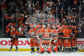 Oilers Ducks Hockey
