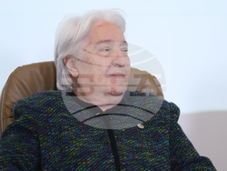 Българска телеграфна агенция - кръгла маса - Гергана Гешанова