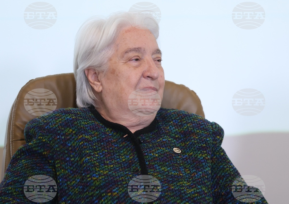 Българска телеграфна агенция - кръгла маса - Гергана Гешанова