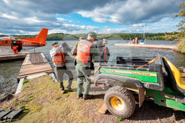 Isle Royale-Wolf Survey
