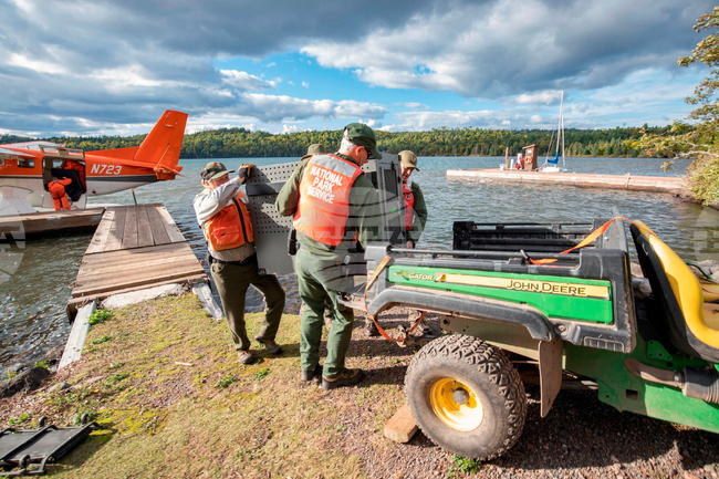 Isle Royale-Wolf Survey