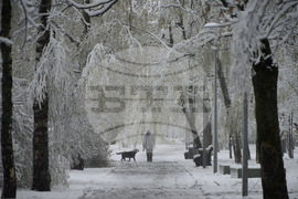 Russia Weather