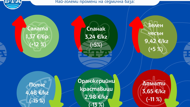 Доматите и краставиците поевтиняват значително, листните зеленчуци са с най-голям ръст през втората половина на април, сочи анализ на САПИ за цените на дребно у нас
