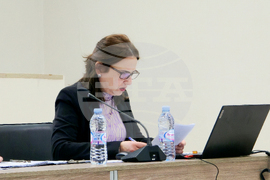 Видин - Интеррег - трансгранично сътрудничество - 2028-2034 г.