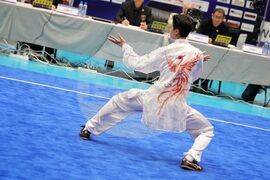 Бургас - Световно първенство по тай чи 2026