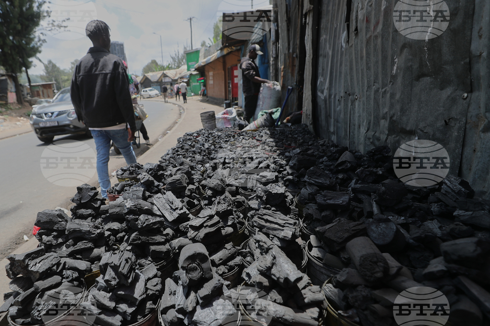 Africa Iran Conservation