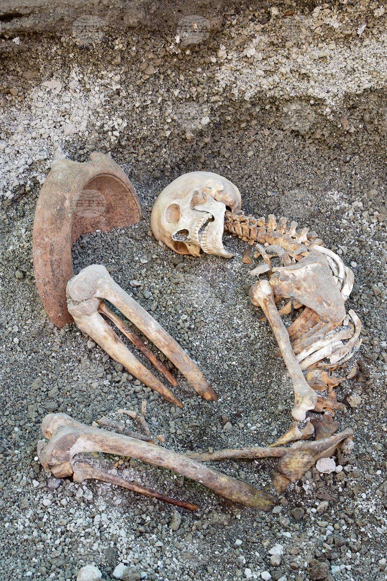 Italy Pompeii AI Portrait