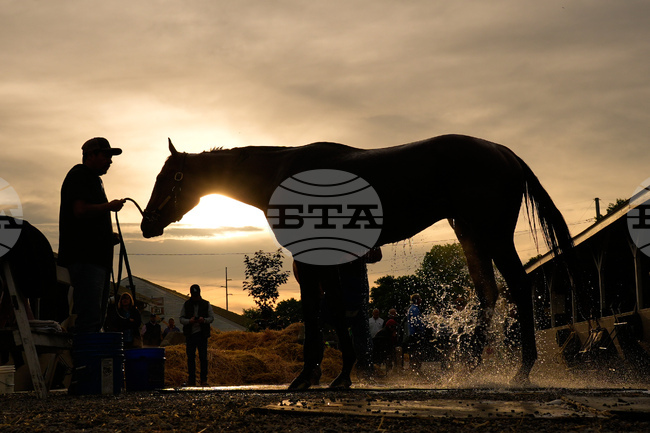 Kentucky Derby Horse Racing