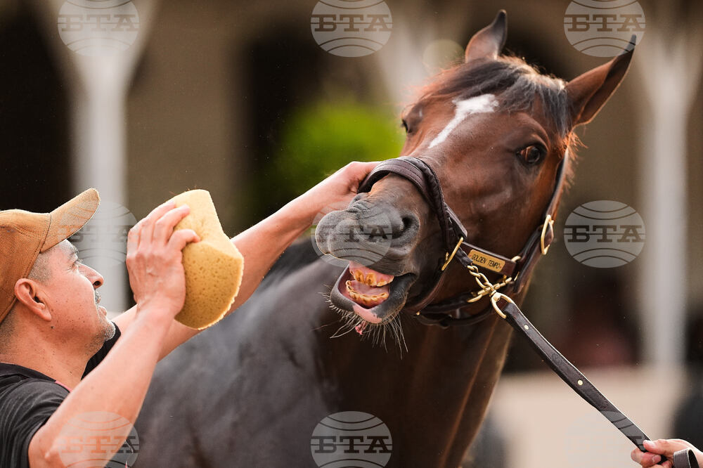 Kentucky Derby Horse Racing