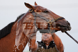 Kentucky Derby Horse Racing