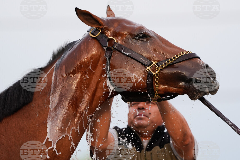 Kentucky Derby Horse Racing