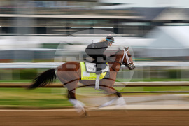 Kentucky Derby Horse Racing