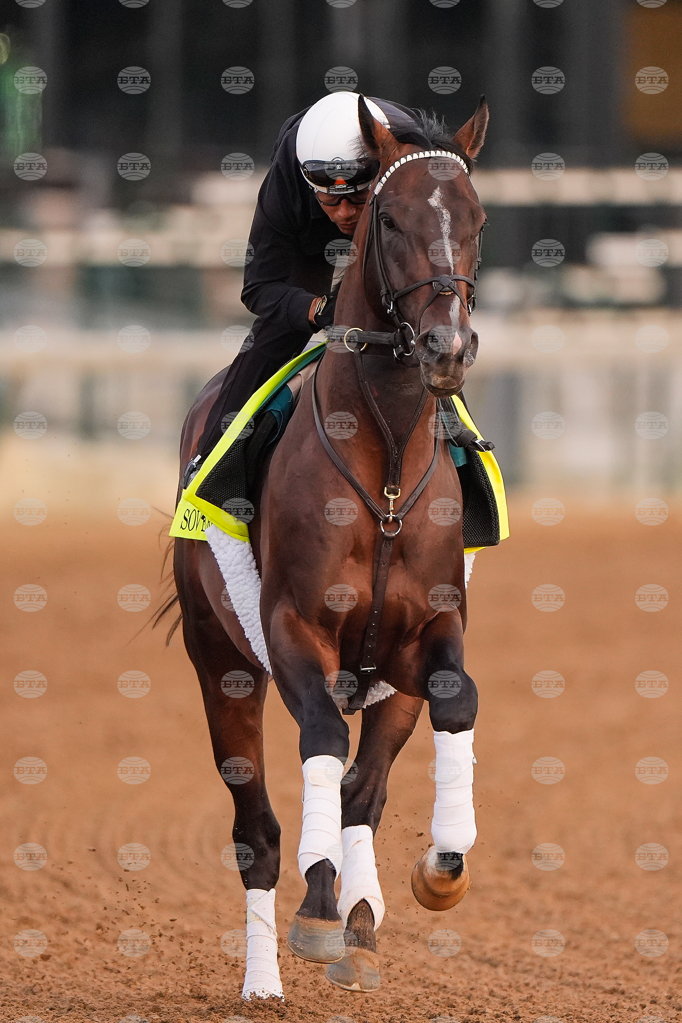 Kentucky Derby Horse Racing