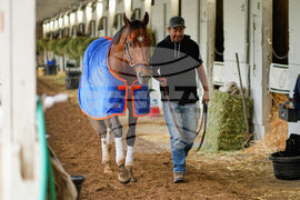 Kentucky Derby Horse Racing