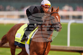 Kentucky Derby Horse Racing