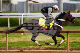 Kentucky Derby Horse Racing