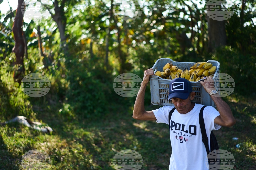 Cuba Ailing Farms
