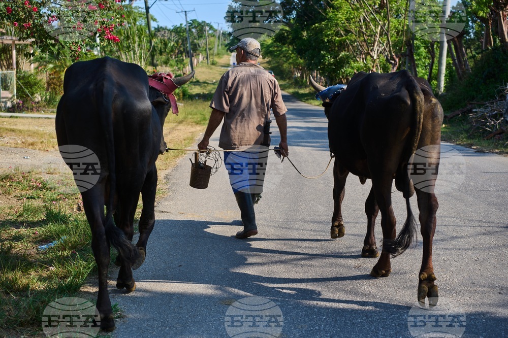 Cuba Ailing Farms