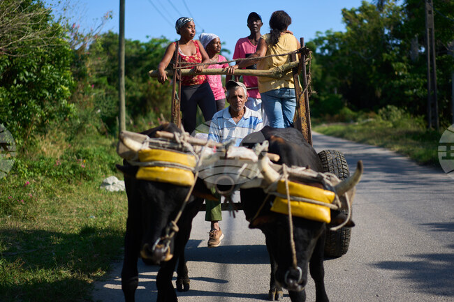APTOPIX Cuba Ailing Farms