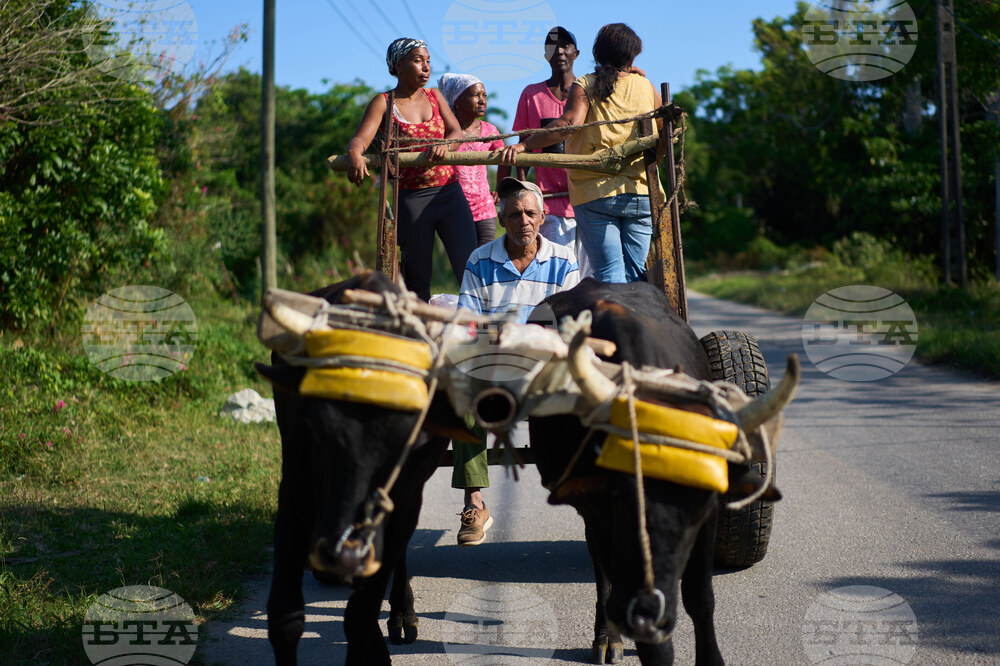 APTOPIX Cuba Ailing Farms