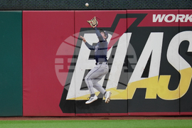 Rays Guardians Baseball