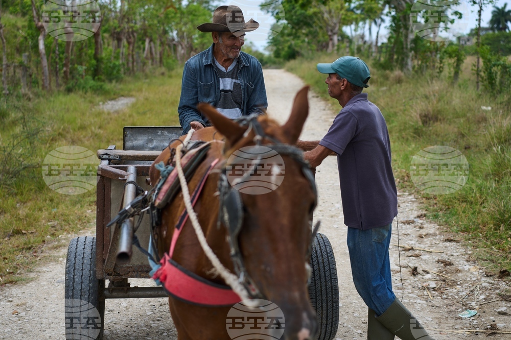 Cuba Ailing Farms