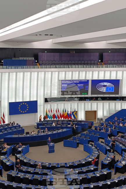 Европарламентът прие първи правила на ЕС за защита на котките и кучетата от малтретиране